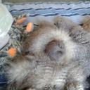 Brooklyn George Fry - @fry_brooklyn - Twitter