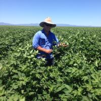 Joe Druce (@jd2826) 's Twitter Profile