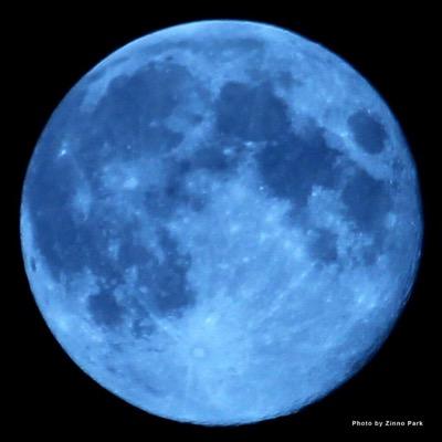 square1965's profile picture. huge MCFC & Heather Peace fan!