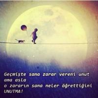 zeyo (@akcaonur38) 's Twitter Profile