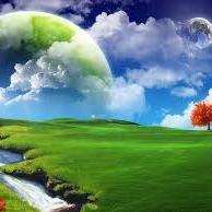 ahmed55562226's profile picture. 