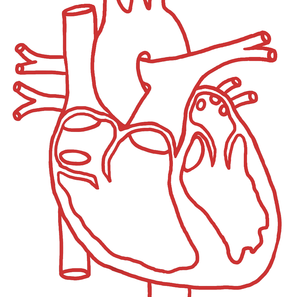 Structural Heart