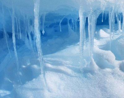 sgh7's profile picture. 