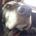 Gabriel Roach - @gregorsbro - Twitter