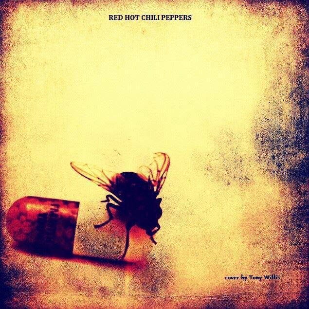 tonyrhcp36's profile picture. funk RHCP!!!       https://t.co/RgVSaT8uxy     =CHECK link to left!!!