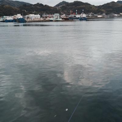 イカ釣り万歳ヾ(＠⌒ー⌒＠)ノ 長崎住みの人絡みましょ(^^)