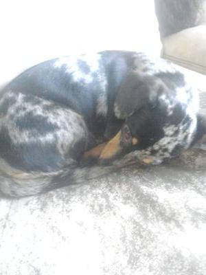 parisc245's profile picture. 