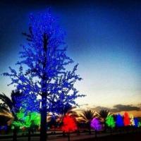 مالك خلف (@ujnth5onecx9kpd) 's Twitter Profile