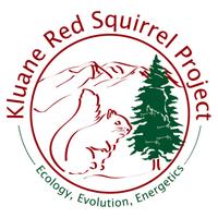 Kluane Red Squirrel Project (@kluanesquirrels) 's Twitter Profile