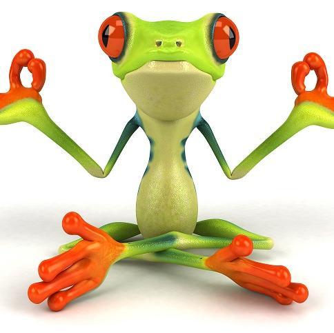 Zen_Froggy's profile picture. 