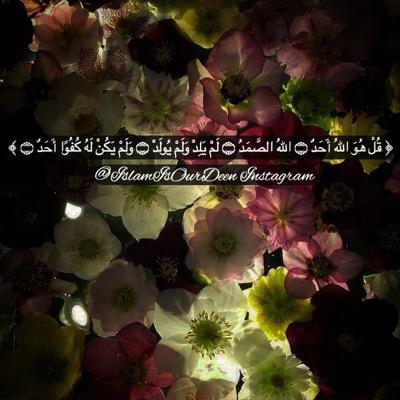 I Tweet The Quran Ayah By Ayah, Surah Al-Imran In Progress [Allah Is My Lord, Islam Is My Religion& Muhammadﷺ Is My Prophet] •IslamIsOurDeen Instagram•