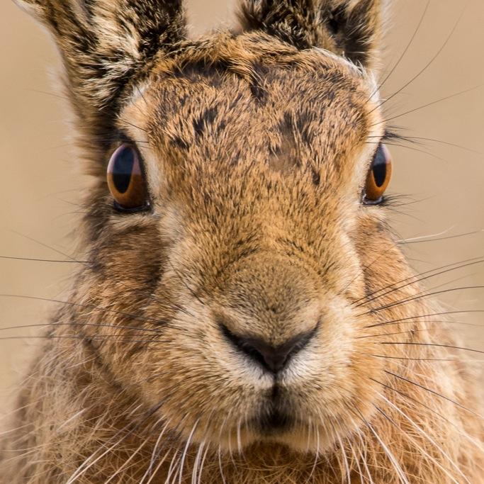 NatureRob Profile Picture