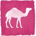 Pink Camel (@pinkcamelglobal) Twitter profile photo