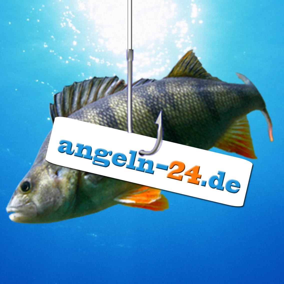 Angeltips, Angelnews, Fangfotos und Angelvideos von angeln-24.de