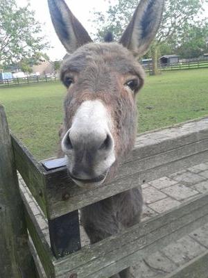 DanishaC28's profile picture. 