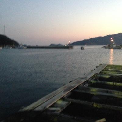 pegasasu12051's profile picture. FF１４　Ciel