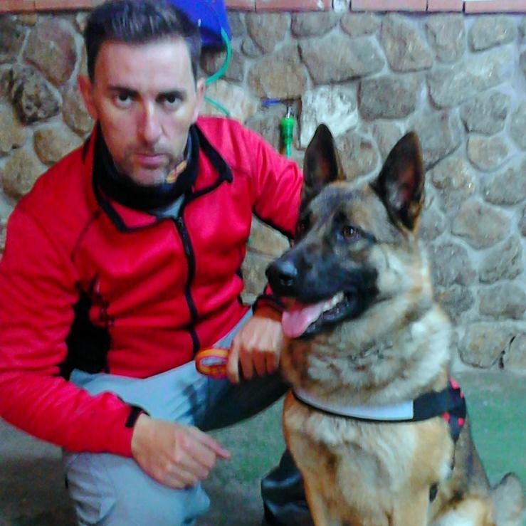 jagdterrierdelt's profile picture. PASTOR BELGA MALINOIS-PASTOR HOLANDES-