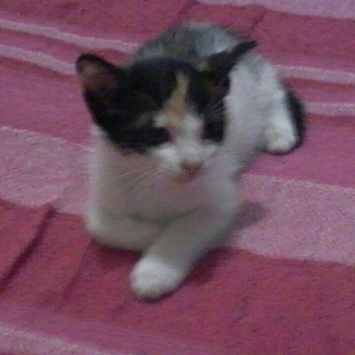 PilarAg85005096's profile picture. 