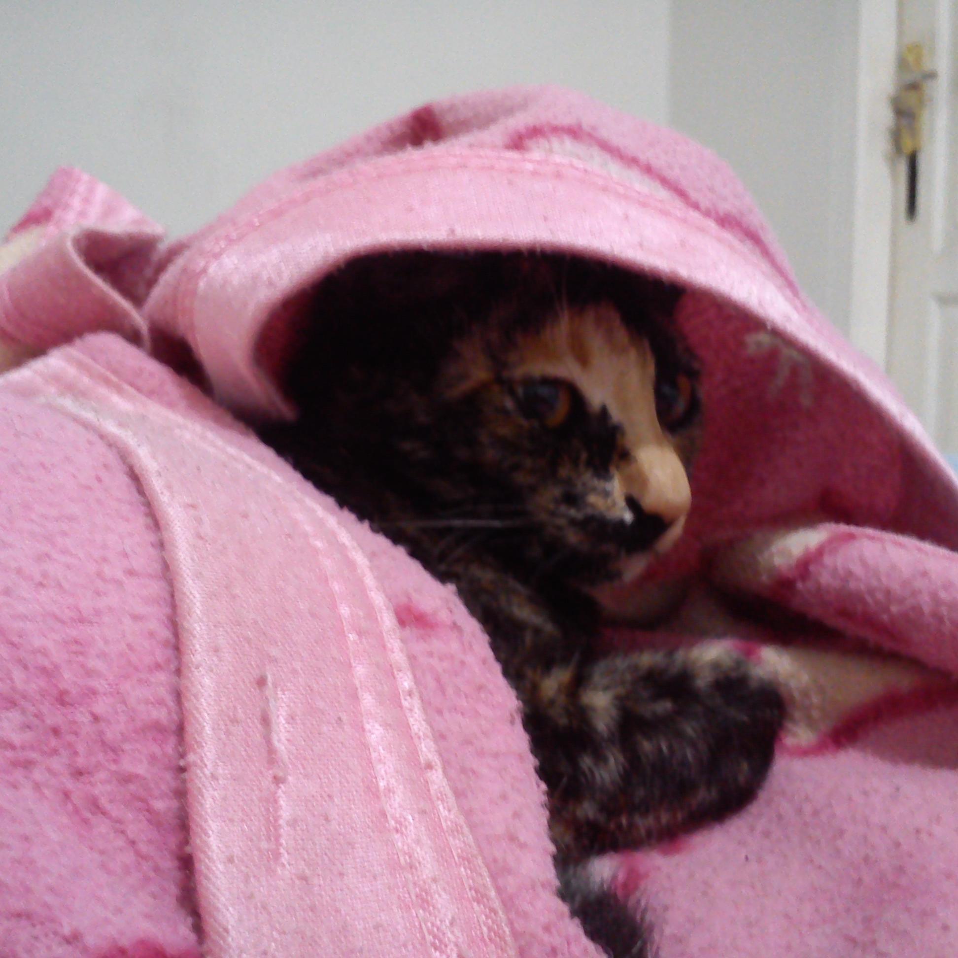 LarryPassey's profile picture. 