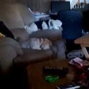 Gary Dudley - @dudleyg51 - Twitter