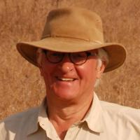 Pim den Hartog (@pimdh) 's Twitter Profile