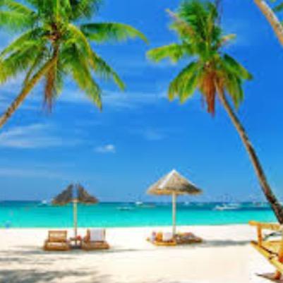 Where is your perfect vacation destination?