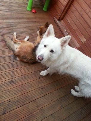 matthew74495906's profile picture. 