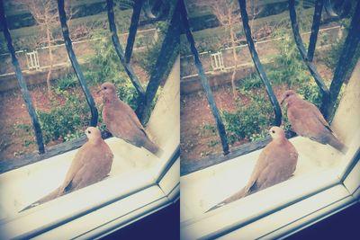 Anlatamam!..