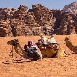 Abou_Sabou's profile picture. 