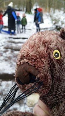 2ndOtleyBeavers's profile picture. Beavers - Fun and Friends!