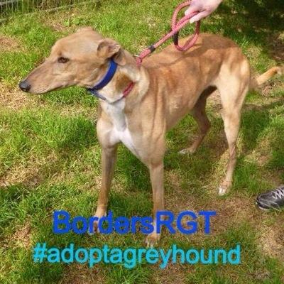 Newmains ReHoming Centre