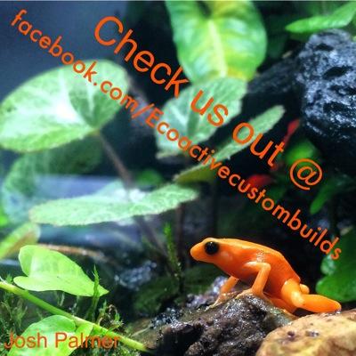 im josh palmer and my hobby is building planted bio active enclosures for reptiles and amphibians! feel free to drop me a line with any questions you have!!