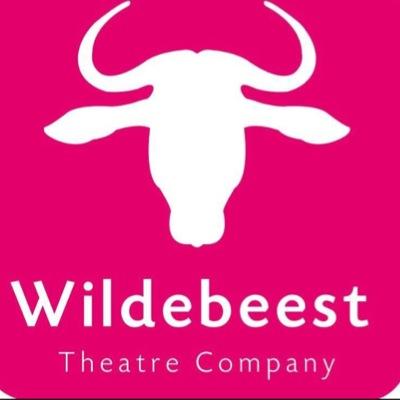 wildebeestlimk's profile picture. Theatre Company based in Limerick. Irish Times Theatre Award Nominated for Best Production- On the Wire. TAN by Ann Blake and Marie Boylan 7th&14th November.