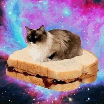 Rotter_banan4's profile picture. 