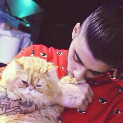 free follow from @httpmalum_ follow them back x