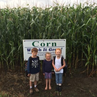 CCA, and Location Manager of Holmes Agro, in Stayner, Ontario.