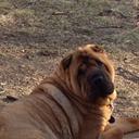 janet robinson - @GlanetJanet - Twitter