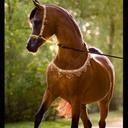 destiny chestnut - @destinychestnu1 - Twitter