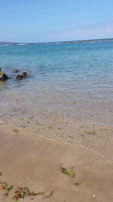 EstherRiveroMed's profile picture. 