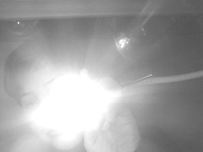 tjmolo03's profile picture. 