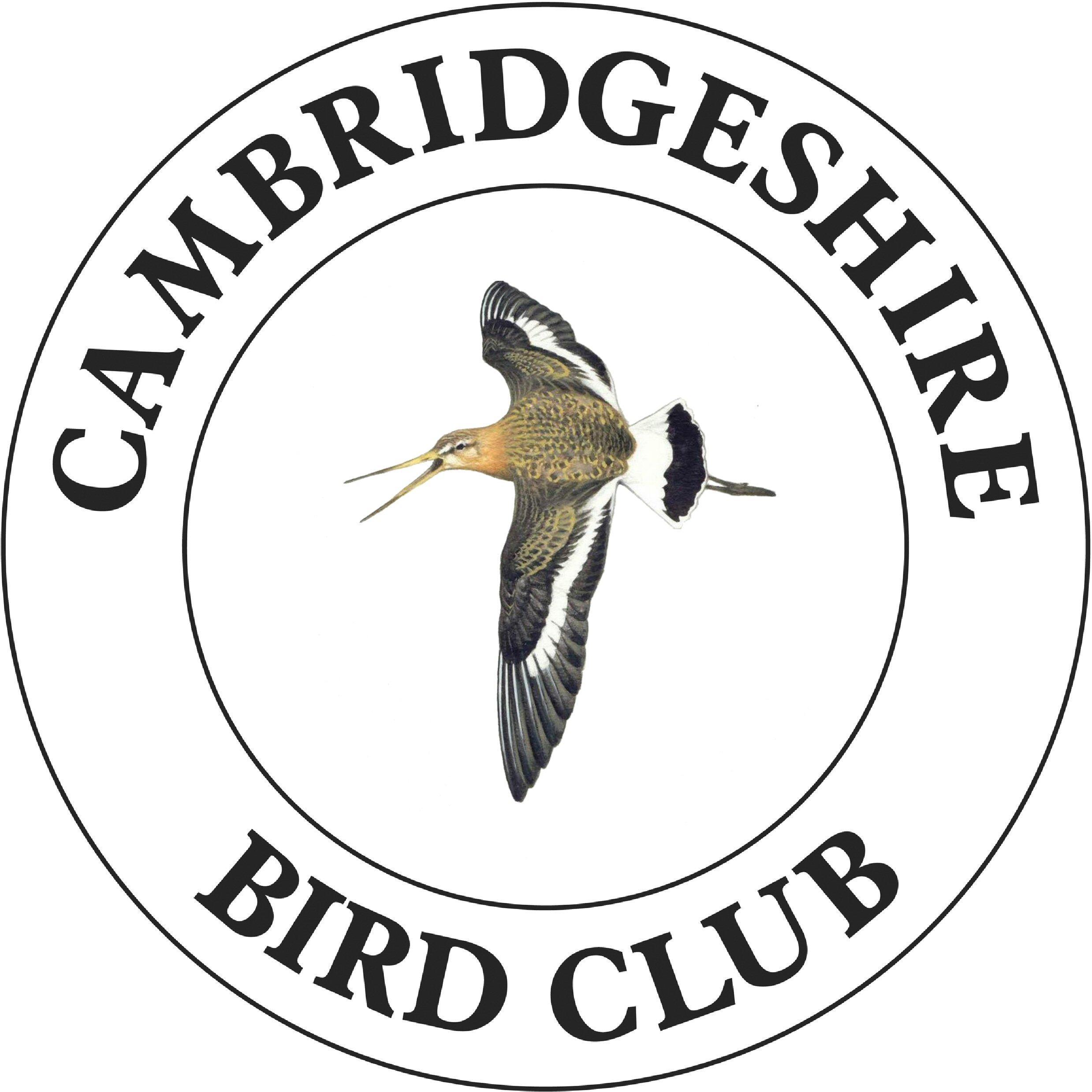 Cambs Bird Club Profile
