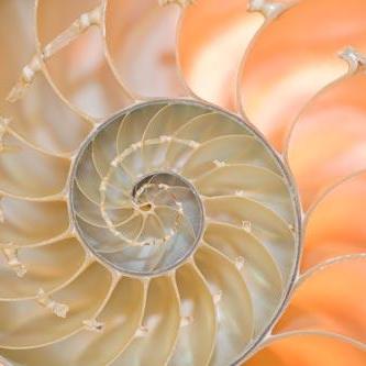 PrefontaineG's profile picture. 