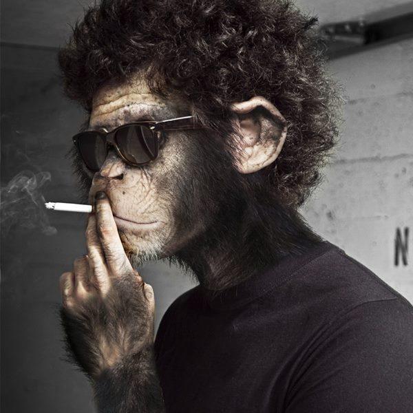 ynsemr99's profile picture. 