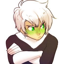 I'm Danny Fenton, I'm a normal kid who happens to have ghost powers that I use to protect my town from ghosts. #Taken by @GottaDash_