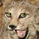 Daniel - @Daniel2812Larry - Twitter