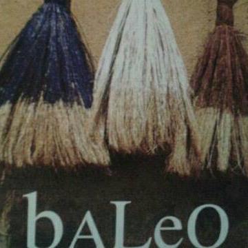 Baleo es un grupo de música tradicional que surgió en Villavieja de Yeltes, Salamanca en 1983. Tiene varias publicaciones discográficas.