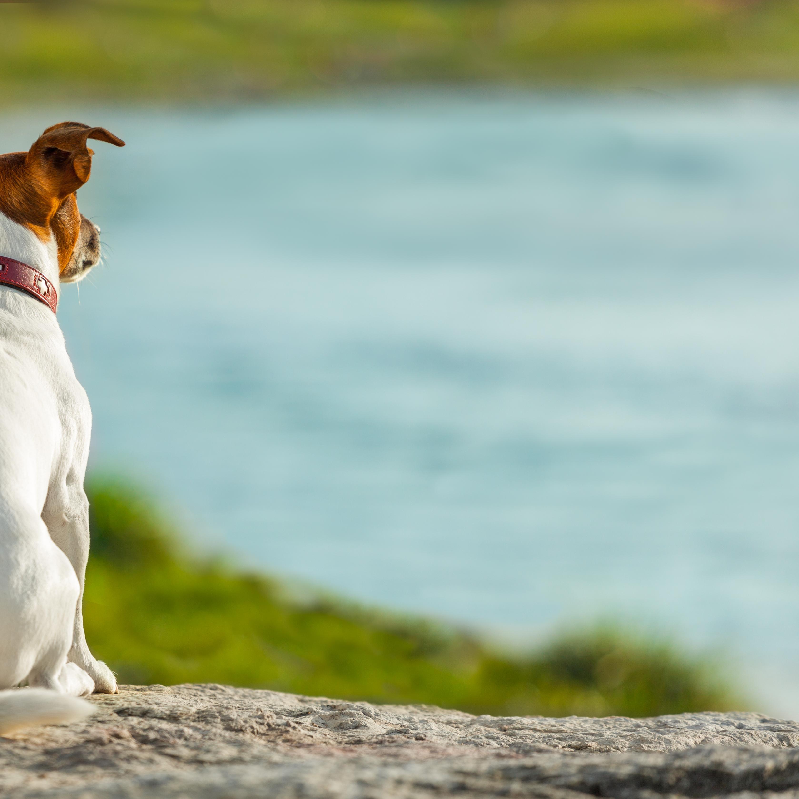 JoshFosterT's profile picture. Marketer, Promoter, and Overall good guy ;) .... Seriously