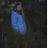 saraskinnaa's profile image