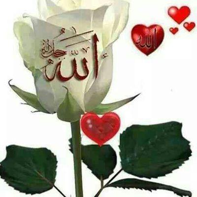 YakaseRahmat's profile picture. 