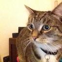 Michelle Baker - @Shellie13Baker - Twitter